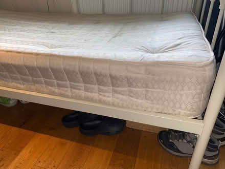 Photo of free Single mattress (Redditch B97) #2