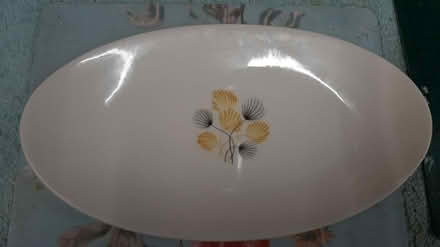 Photo of free OVAL plate (peacehaven) #1