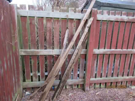 Photo of free Scrap Wood (Methil KY8) #3