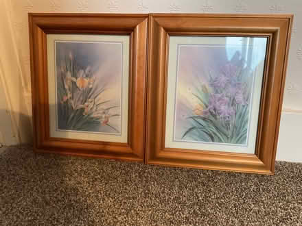 Photo of free Prints (Eastcote HA4) #1