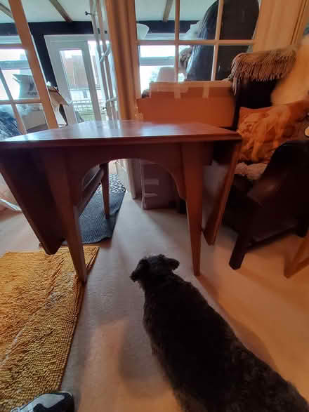 Photo of free Dining table/folding (Bexhill on Sea) #2