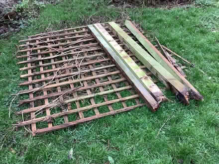 Photo of free Trellis and fence posts (Priory Ward EX2) #2