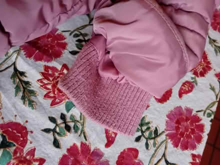 Photo of free Girls coat age 4-5 (Buriton GU31) #2