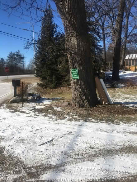 Photo of free Two XL Shop Lights-Curb Alert (29W470 Old Lake St, Streamwood) #2