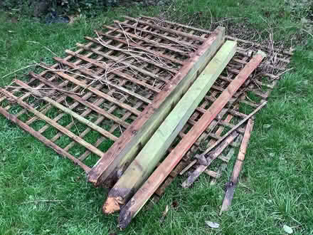 Photo of free Trellis and fence posts (Priory Ward EX2) #3