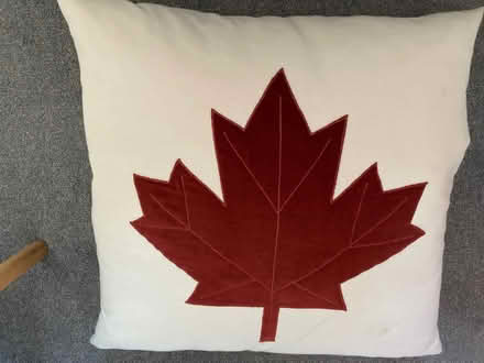 Photo of free Floor cushion (Penrith CA11) #1