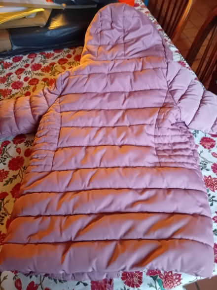 Photo of free Girls coat age 4-5 (Buriton GU31) #4