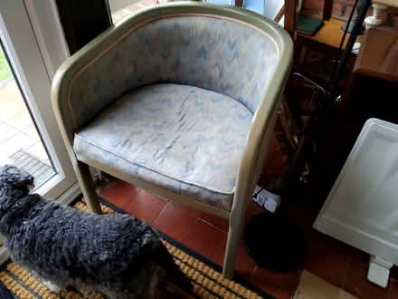 Photo of free Two tub chairs (Bexhill on Sea) #1