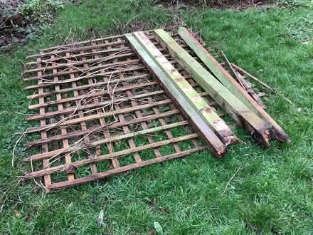 Photo of free Trellis and fence posts (Priory Ward EX2) #1