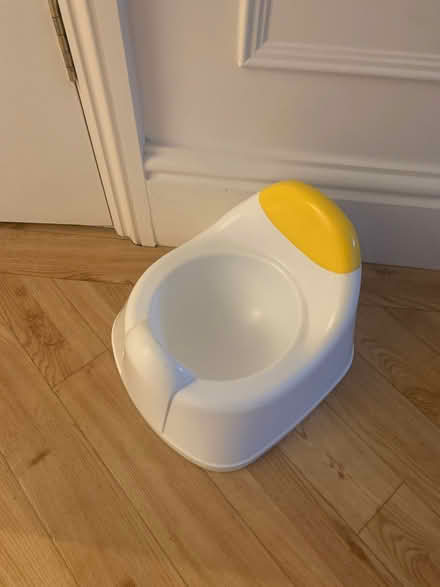 Photo of free Potty (Bath & North East Somerset) #1