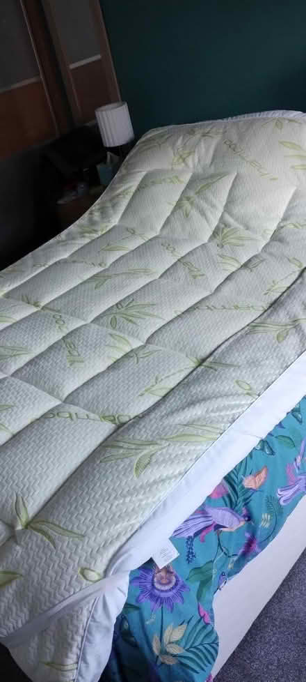 Photo of free Mattress topper (Bangor) #1