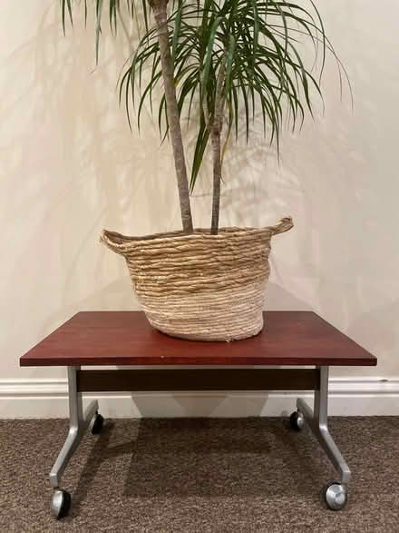 Photo of free Wooden Trolley (Stoke Newington N16) #1