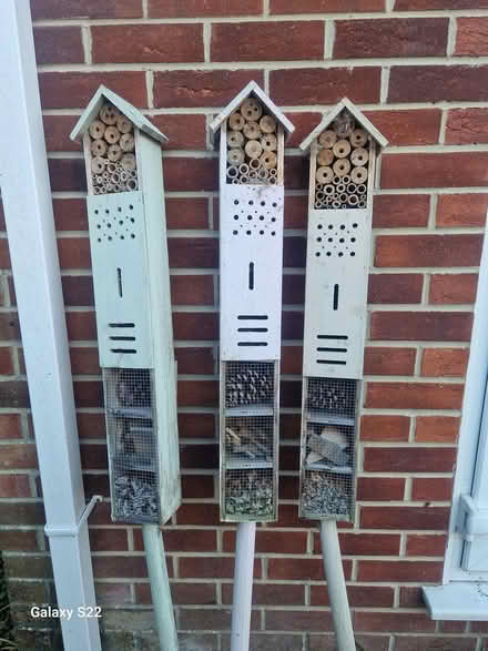Photo of free Wooden Bug Hotels (Waterlooville PO8) #1