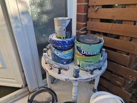 Photo of free Paints (Borough Green TN15) #2