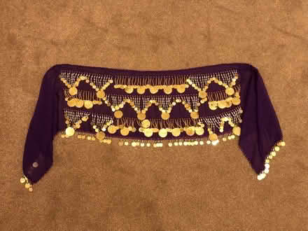 Photo of free Coin belt (Myton Park CV32) #1