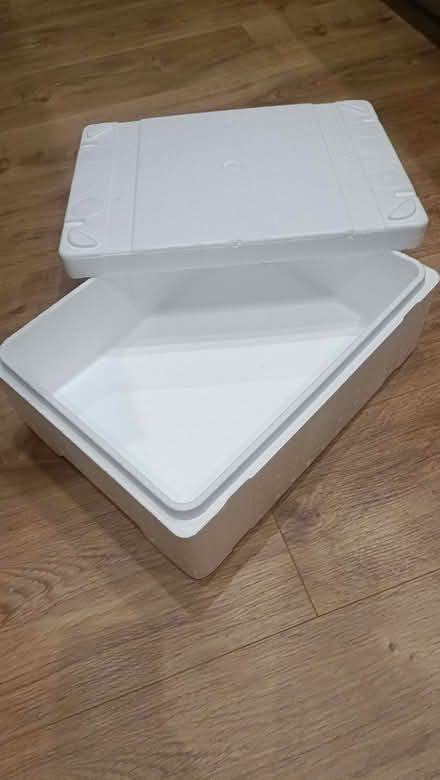 Photo of free Polystyrene cool box and lid (Chalker's Corner TW9) #1