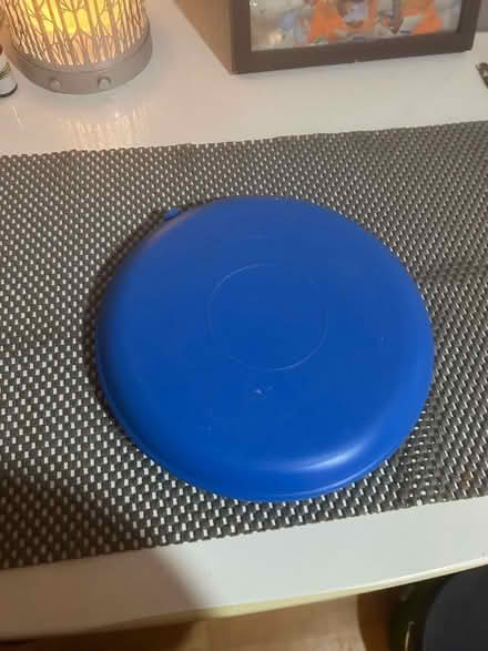 Photo of free Dog bed cooler! (Peachcroft OX14) #1