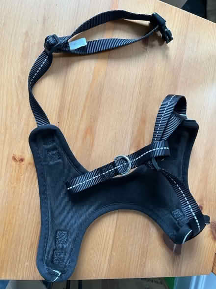 Photo of free Dog harness (SE19) #1