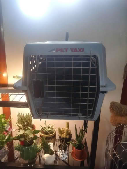 Photo of free Carrier (Stewartstown) #1