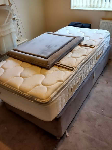 Photo of free Sealy Single Divan Bed (Brentwood CM13) #1