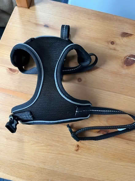 Photo of free Dog harness (SE19) #3