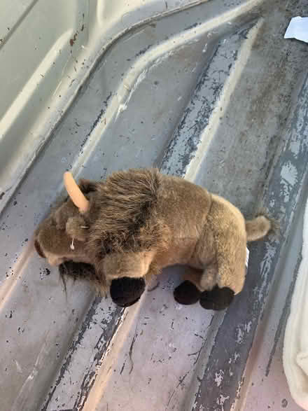 Photo of free Buffalo Stuffed Animal (Sunnyvale 94087) #1