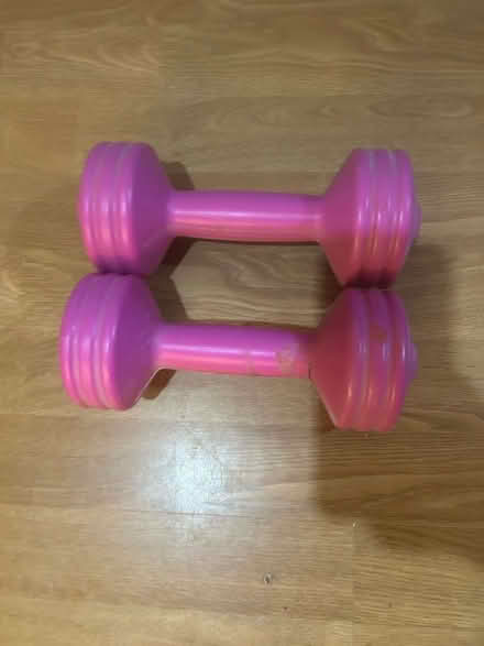 Photo of free Pink dumbbells! (Peachcroft OX14) #1