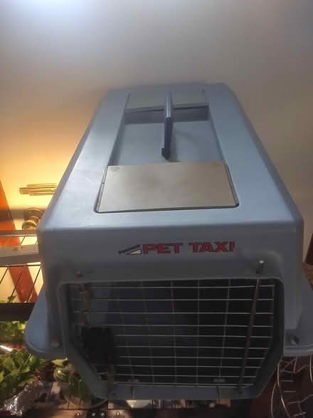 Photo of free Carrier (Stewartstown) #2