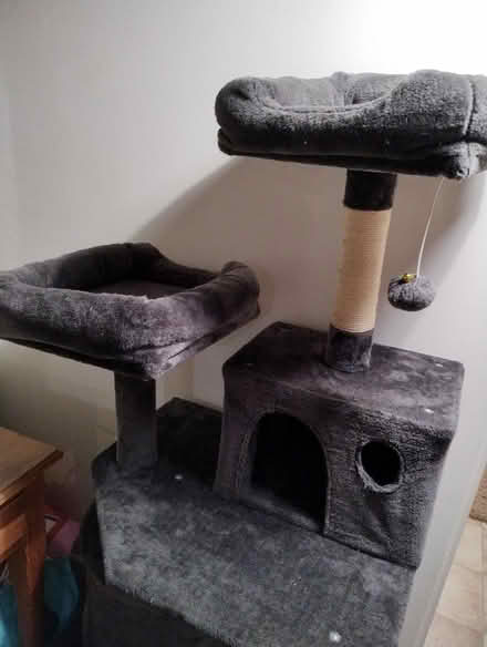 Photo of free Cat Tree (Pembrey SA16) #2