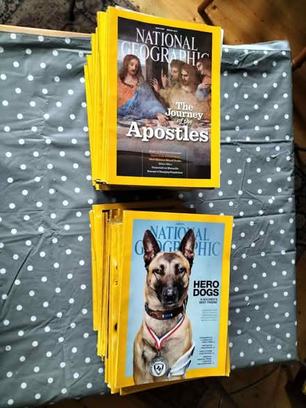 Photo of free National Geographic magazines (Rudloe) #2