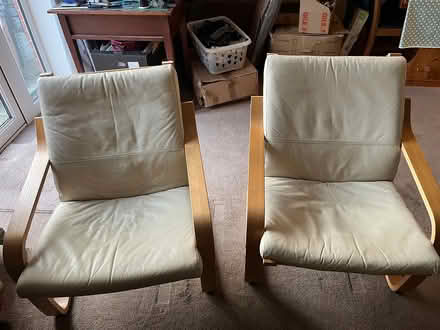 Photo of free Two IKEA Poang chairs (Evesham) #1