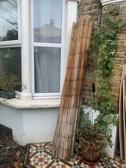 Photo of free Bamboo fencing roll (Forest Gate) #1