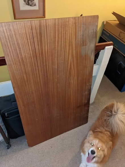 Photo of free Office table (North Weald CM16) #1
