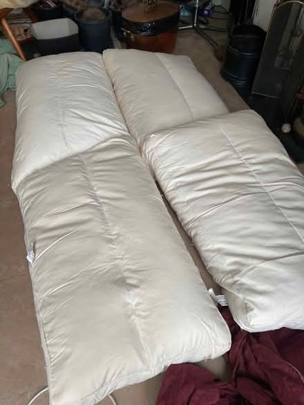 Photo of free 4 sofa cushions (Colnbrook SL3) #1
