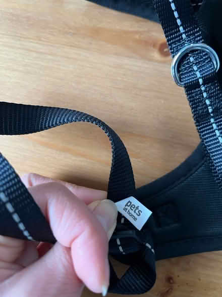 Photo of free Dog harness (SE19) #2