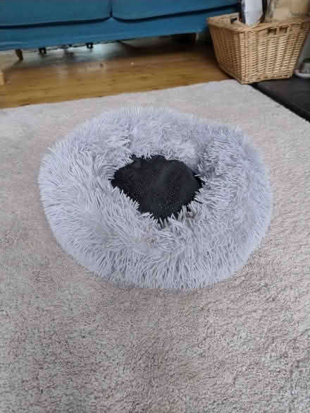 Photo of free Cat bed (E17) #1