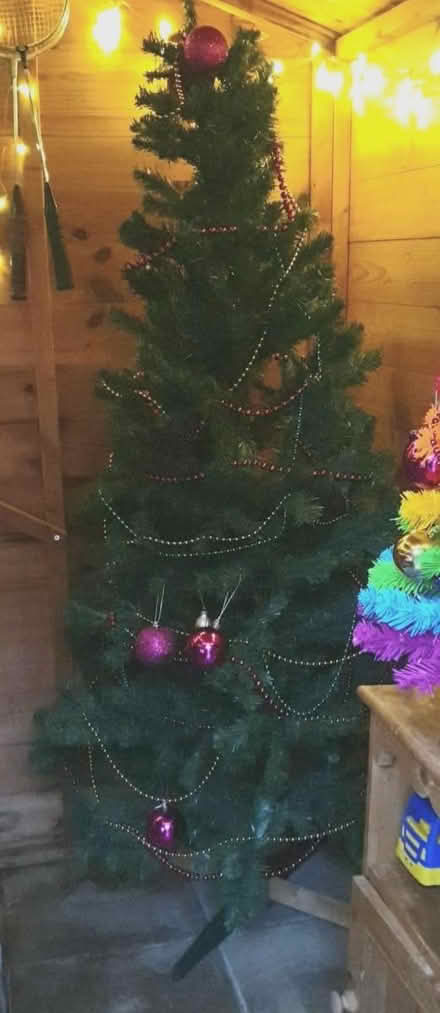 Photo of free 5ft xmas tree (Frimley Green (GU16)) #1