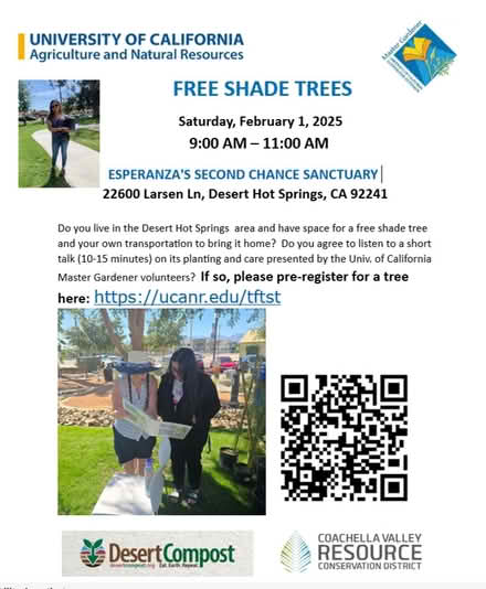 Photo of free Shade Trees Ready to Plant (Esperanza's Sanctuary) #1