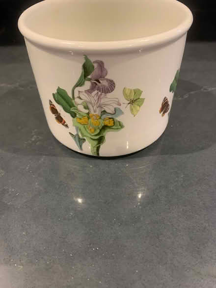 Photo of free plant pot (Bracknell RG12) #1