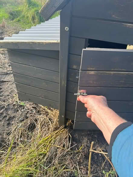 Photo of free Hen or duck house (Friston IP17) #3