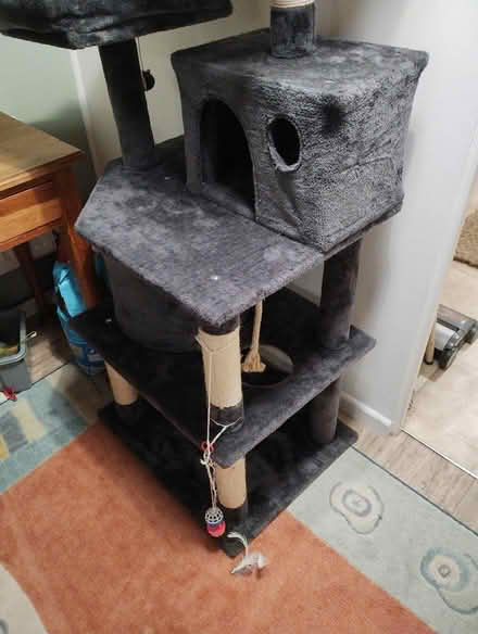Photo of free Cat Tree (Pembrey SA16) #3