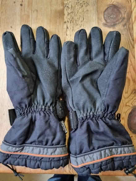 Photo of free Large Thinsulate gloves (Chalford GL6) #2