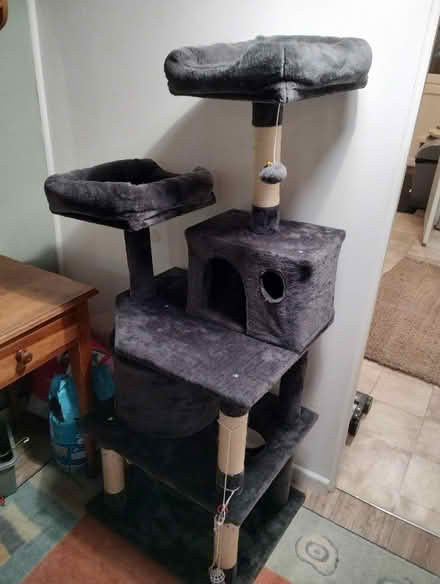 Photo of free Cat Tree (Pembrey SA16) #1