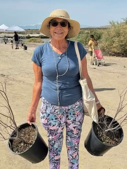 Photo of free Shade Trees Ready to Plant (Esperanza's Sanctuary) #3