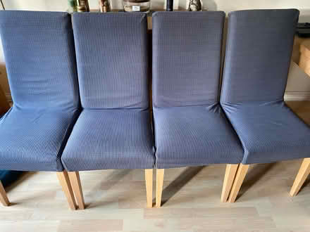 Photo of free Dining room chairs (Oakwood derby) #1