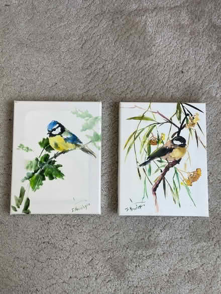 Photo of free Small bird paintings on canvas (Eastern Green CV5) #1