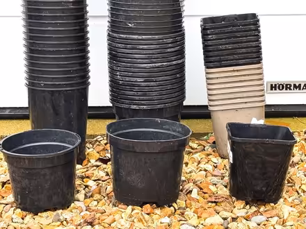 Photo of free A lot of 2L, 3L & 10L plant pots (East Marden) #2