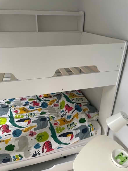 Photo of free Childs bunk bed frame with shelves (Stubbington PO14) #3