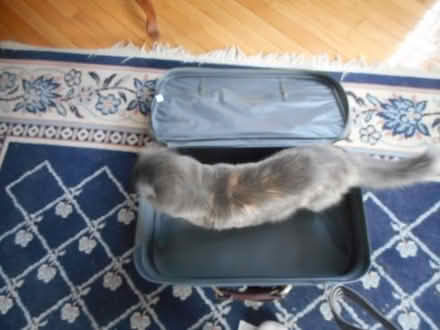 Photo of free small suitcase #1