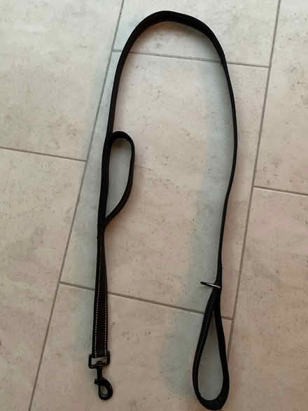 Photo of free Dog lead (Cullompton) #1